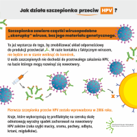 Szczepienia przeciw HPV_infograph_6